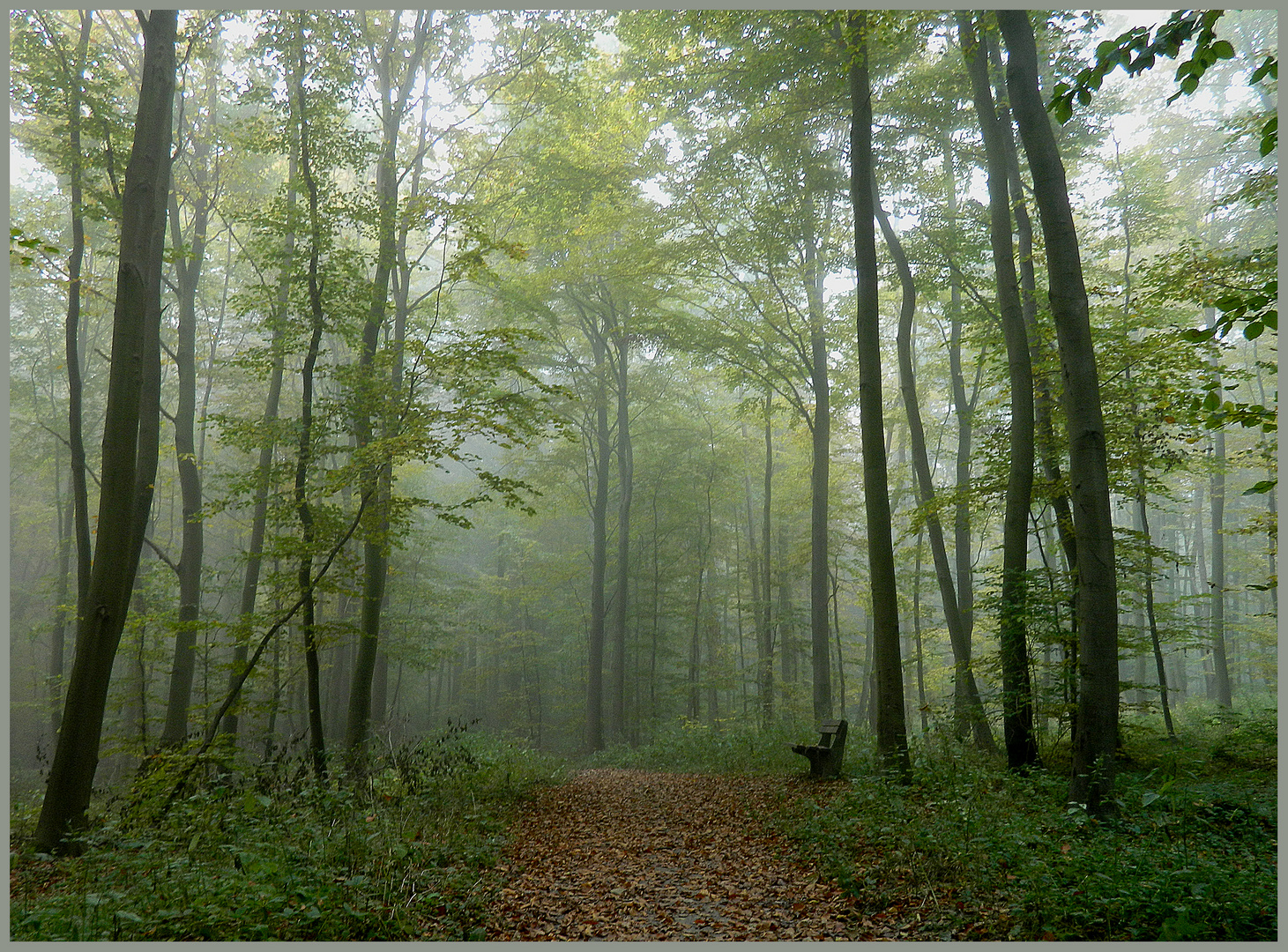 Nebel,Nebel überall