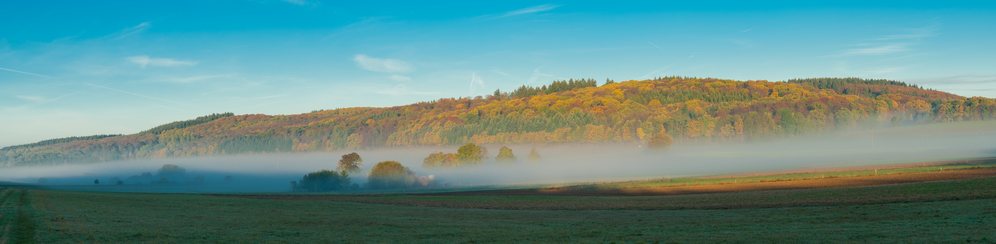 Nebelpannorama im Herbst