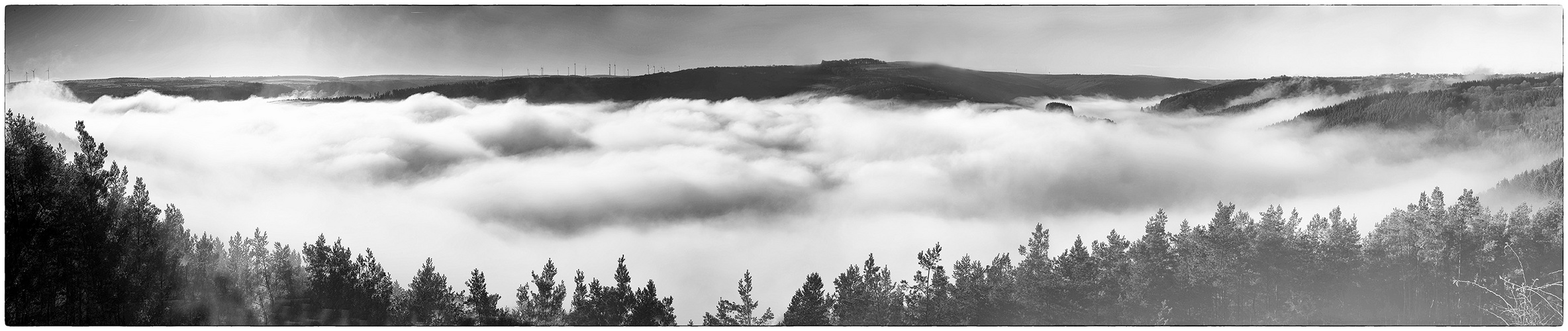 Nebelpanorama über dem Rurtal