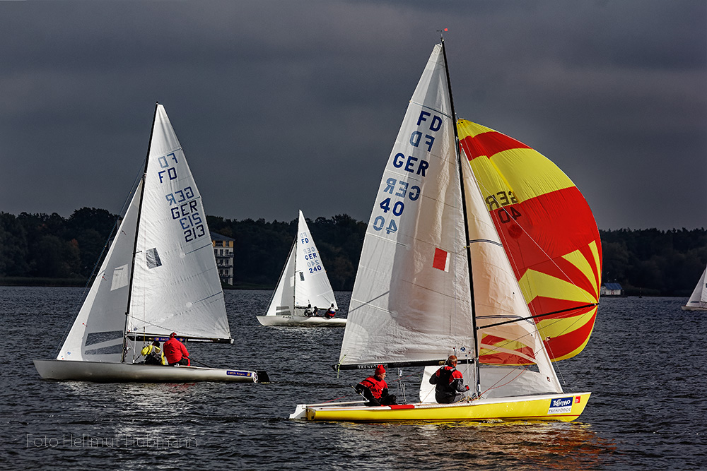 NEBELPOKAL BEI VOLLER, ÖRTLICHER SONNE