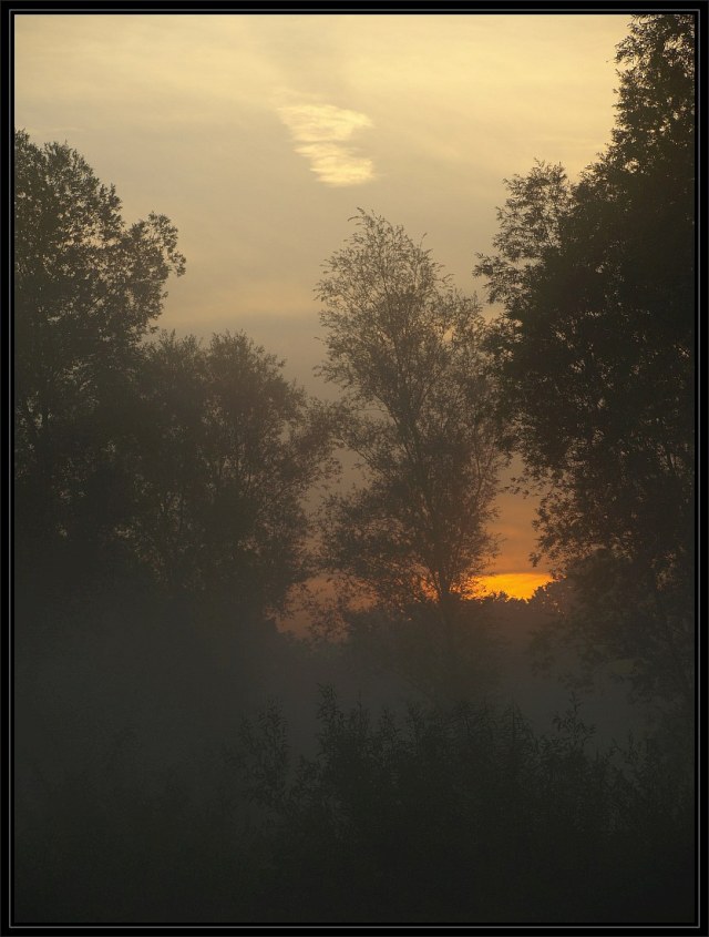 Nebelromantik II / Autumn is coming