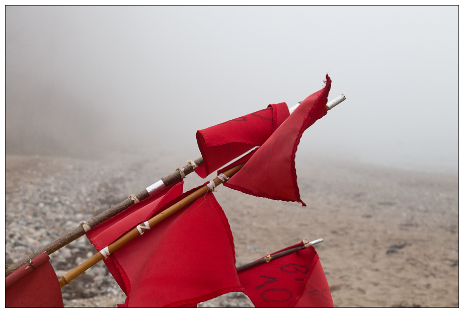 Nebel.Rot.