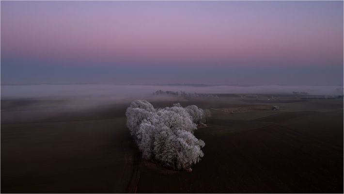 Nebelsanft und frostgeborgen