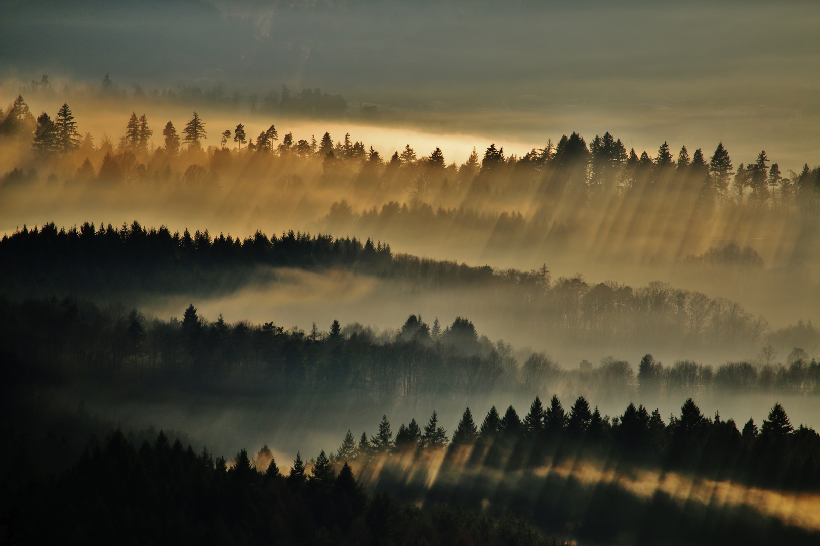 Nebelschatten und Nebelfarben...