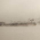 Nebelschiff