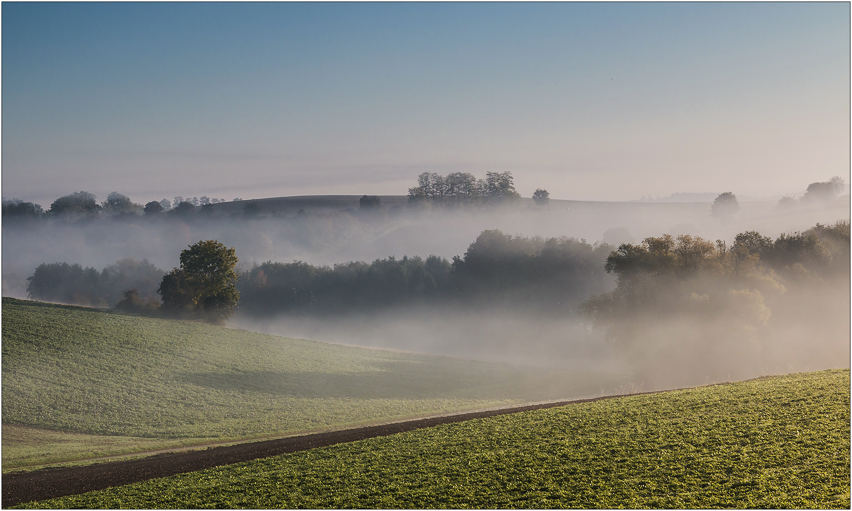 Nebelschleier