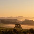 Nebelschleier am frühen Morgen