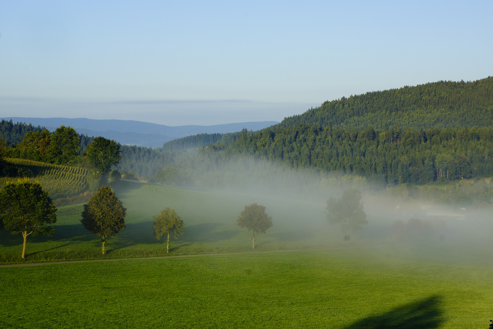 Nebelschleier am Ortsrand von Bodenmais