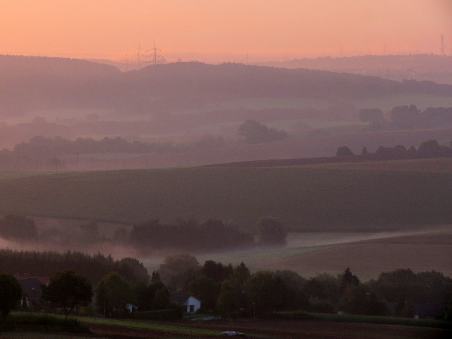 Nebelschleier im Tal