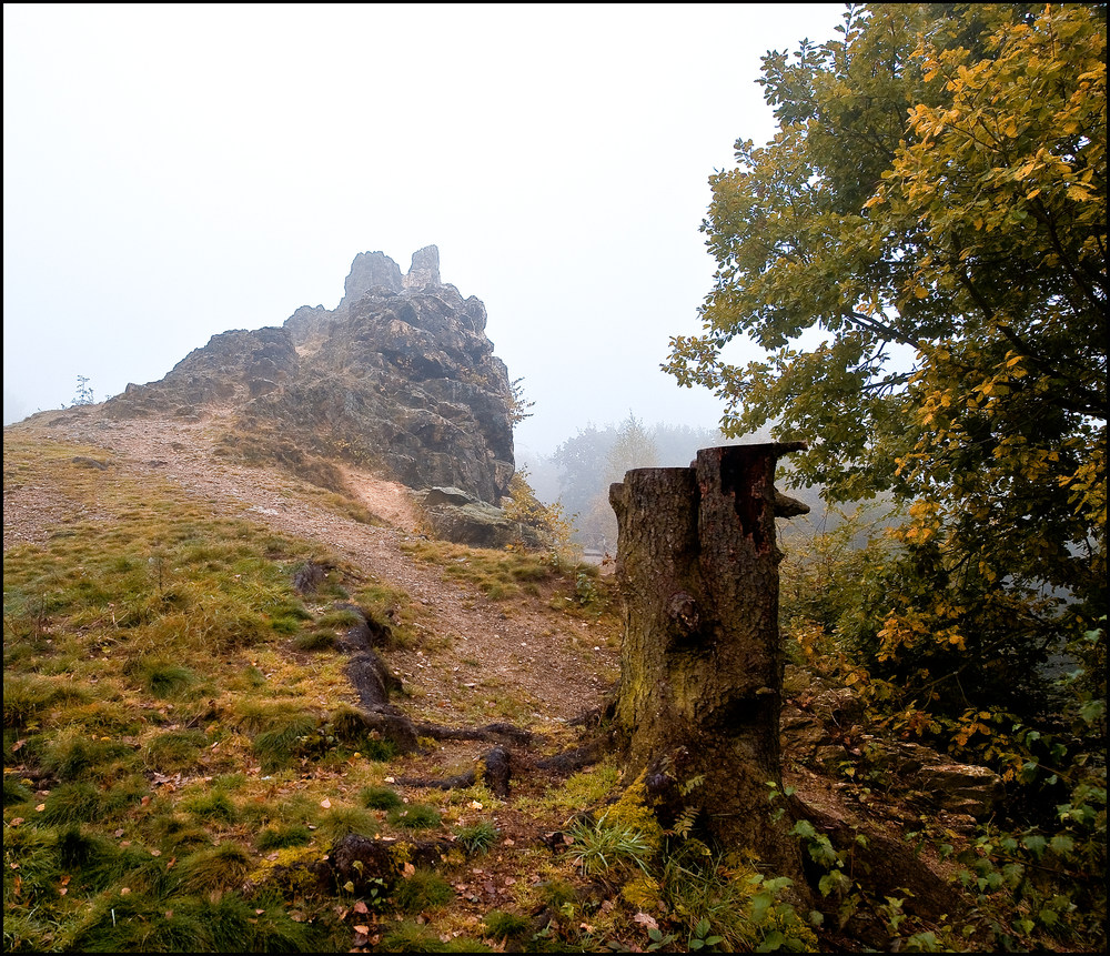 Nebelschleier im Taunus