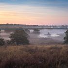 Nebelschleier in den Massduinen