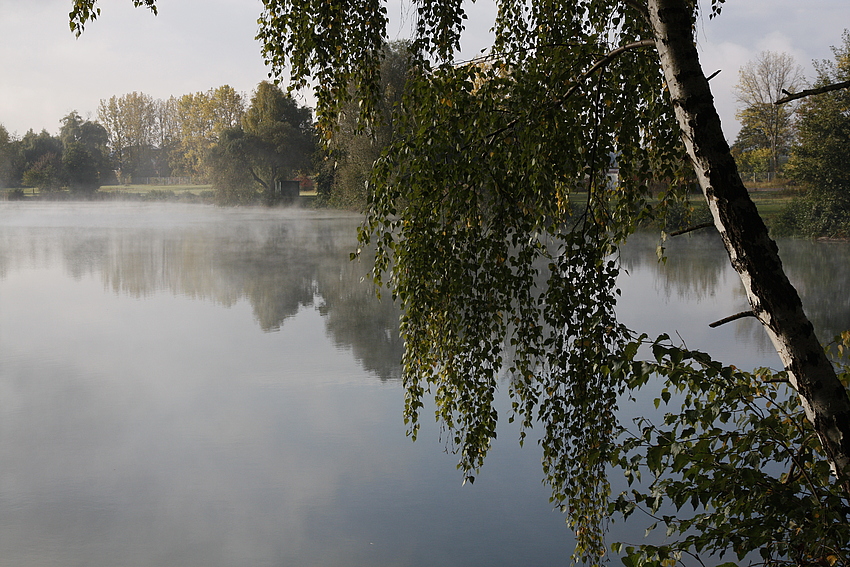 Nebelschleier über dem See