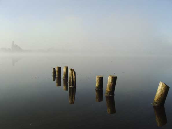 Nebelschleier über dem See
