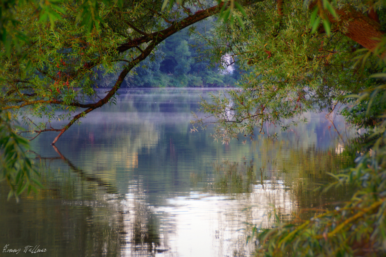 Nebelschleier ziehen über den Neckar