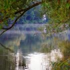 Nebelschleier ziehen über den Neckar