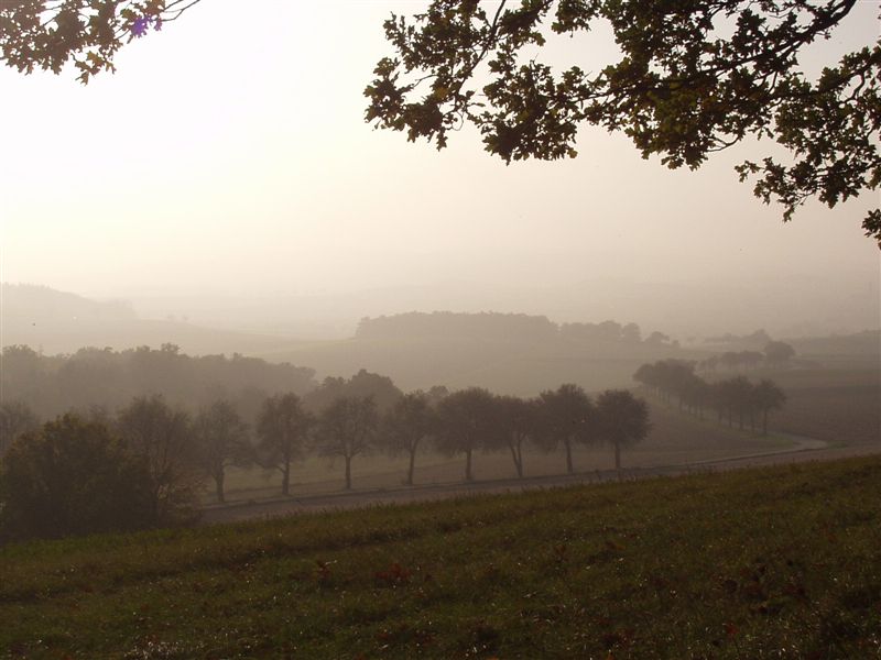 Nebelschleier......noch vor wenigen Augenblicken...