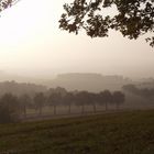 Nebelschleier......noch vor wenigen Augenblicken...