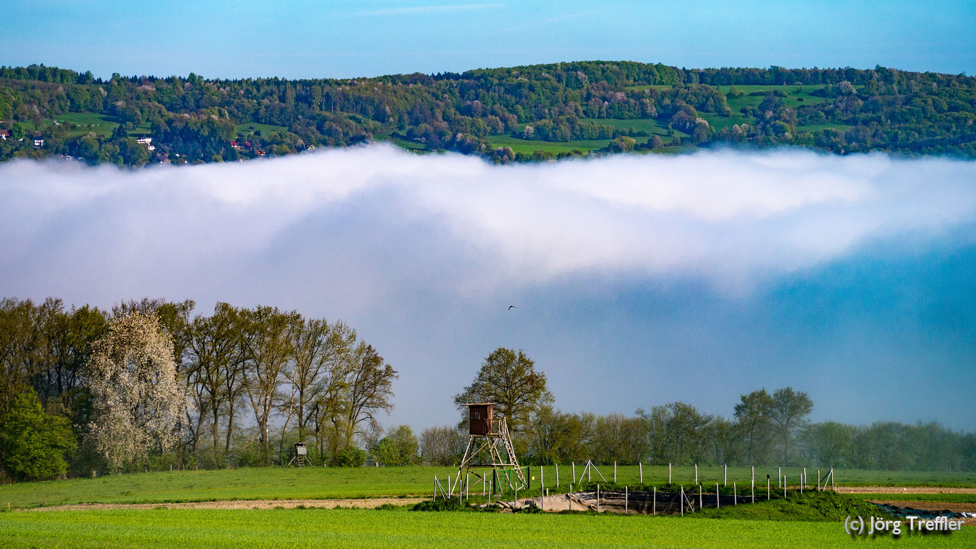 Nebelschwade über Steinau