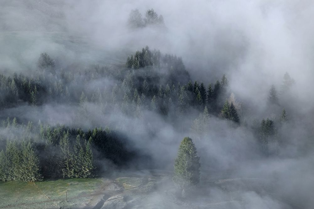 Nebelschwaden 4 by Axel Brog
