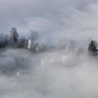 Nebelschwaden 5 by Axel Brog