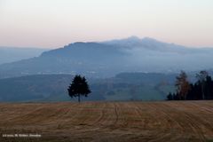 Nebelschwaden am Berg