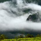 Nebelschwaden am Fozi Berg