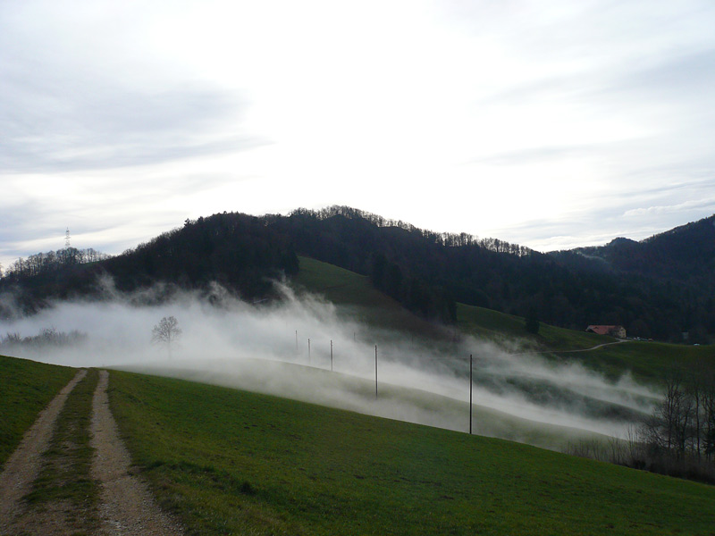 Nebelschwaden am Jura