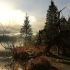 Nebelschwaden am Königssee