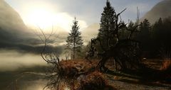 Nebelschwaden am Königssee