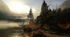 Nebelschwaden am Königssee