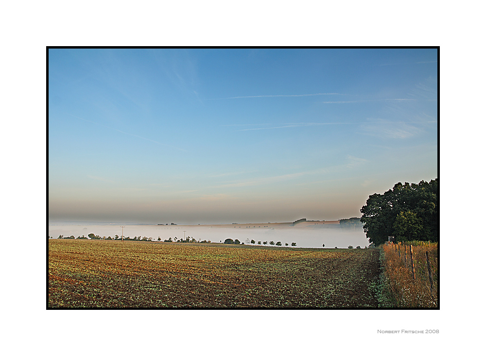 Nebelschwaden am Morgen