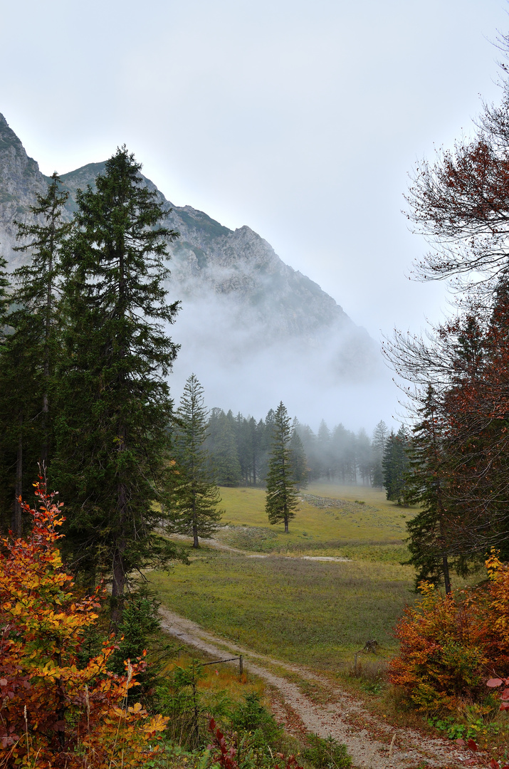 Nebelschwaden auf dem Herzogstand am Walchensee