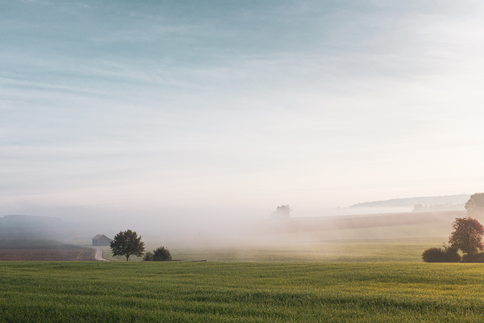 Nebelschwaden berühren Morgensonne.