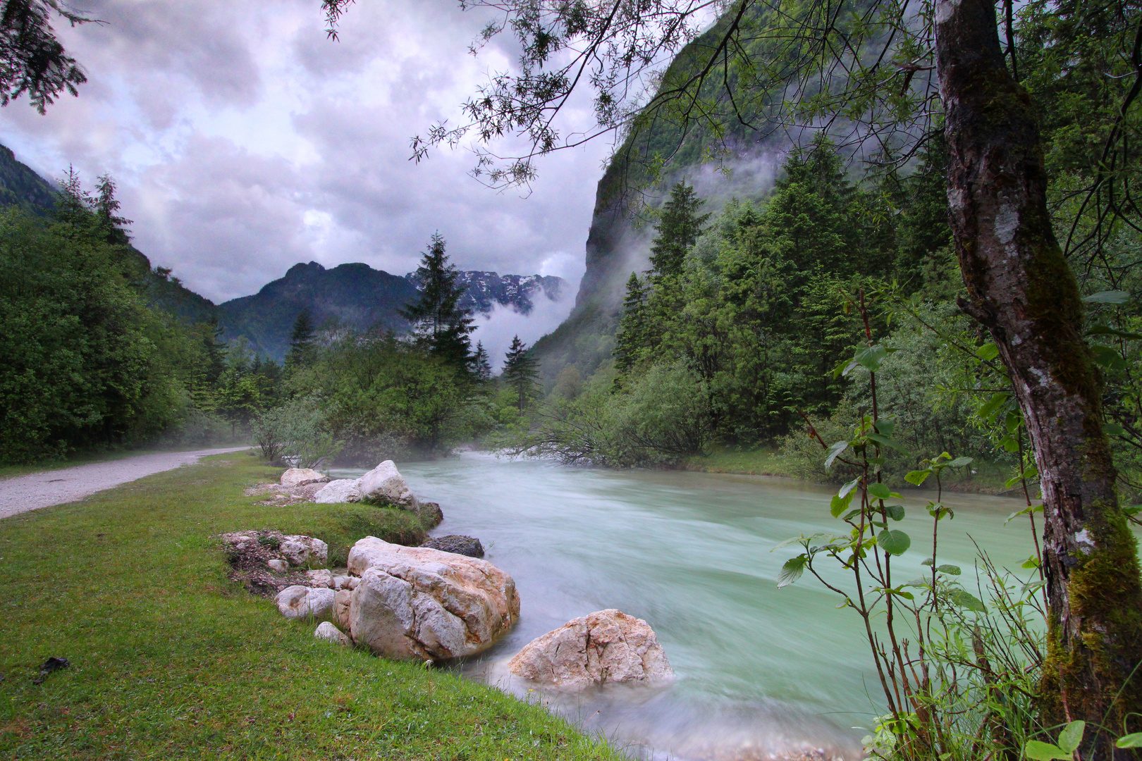 Nebelschwaden im Bluntautal