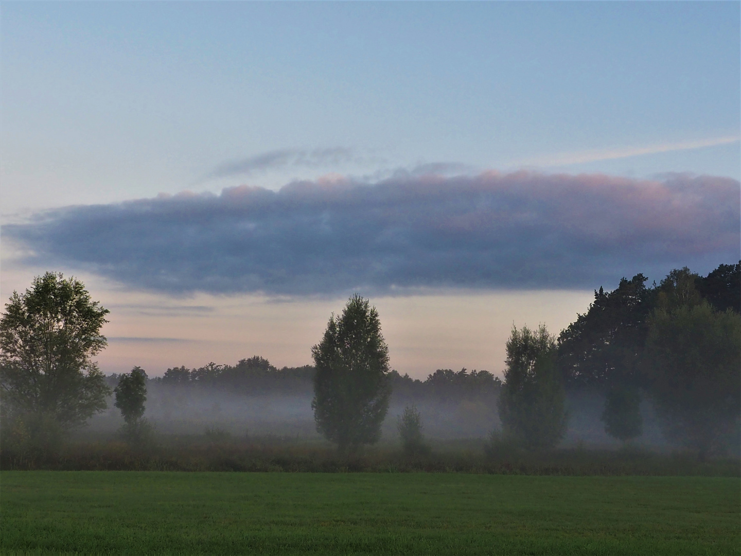 Nebelschwaden im Herbst