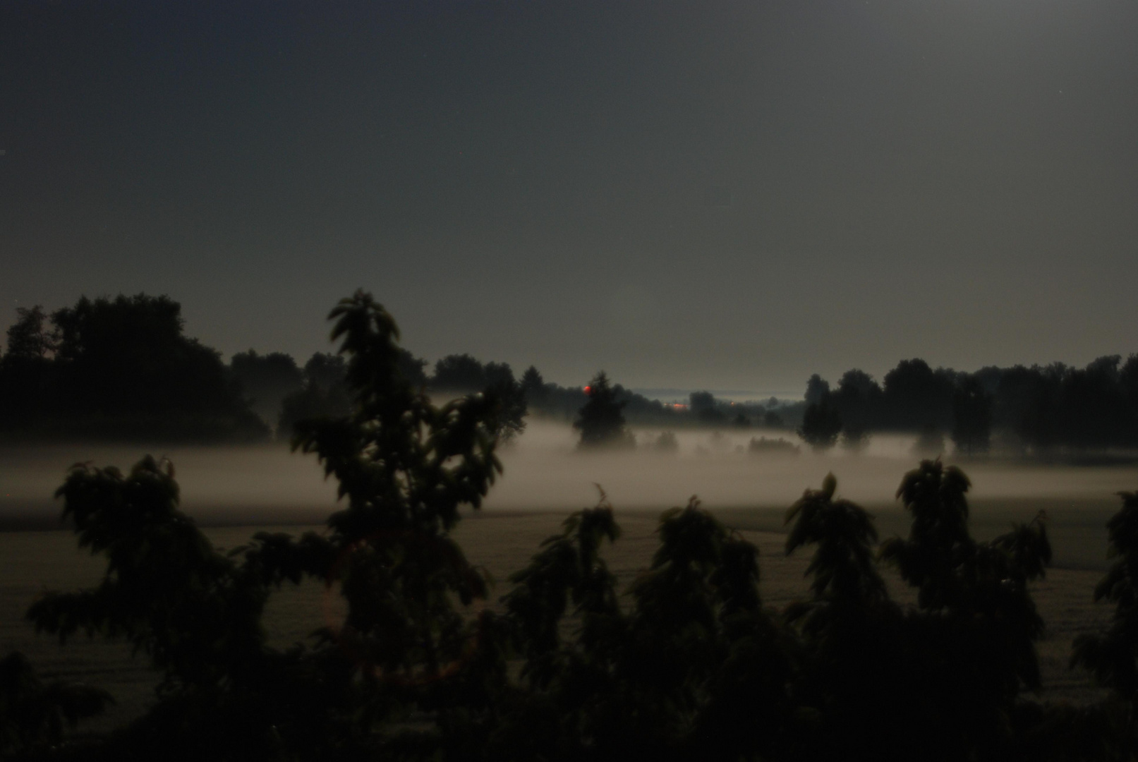 Nebelschwaden im Lechtal