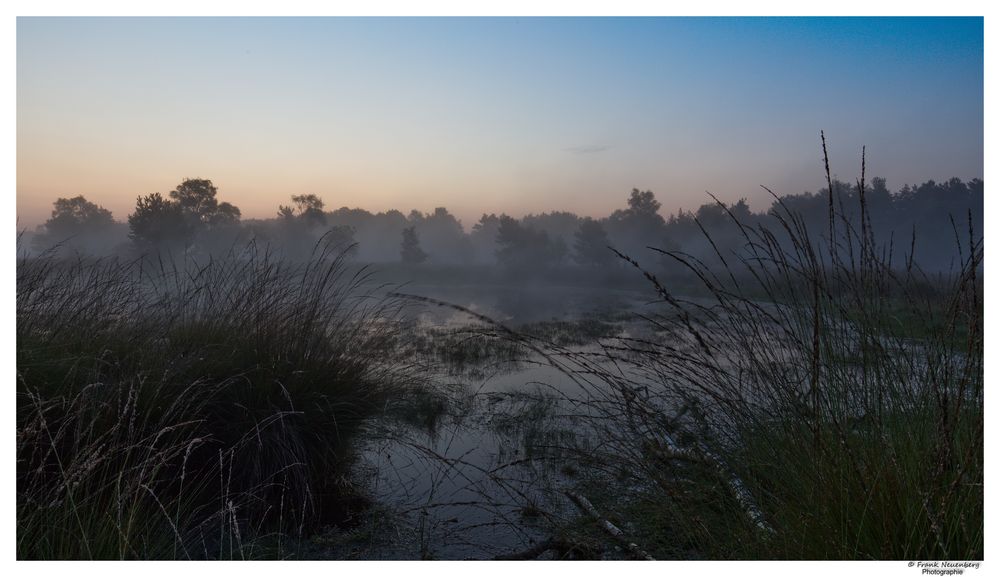 *** Nebelschwaden im Sonnenaufgang ***