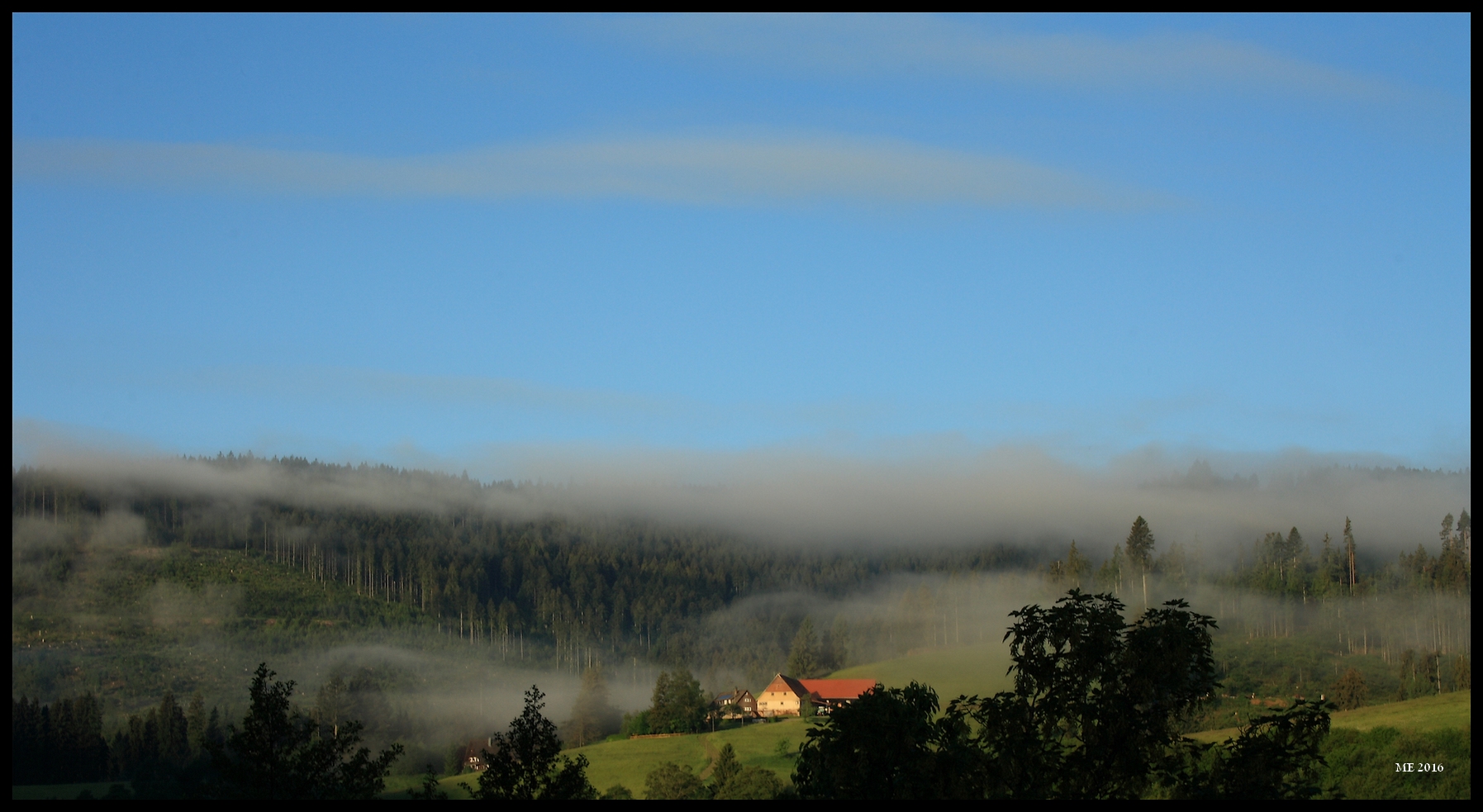 Nebelschwaden in Baiersbronn-Röt