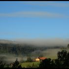 Nebelschwaden in Baiersbronn-Röt