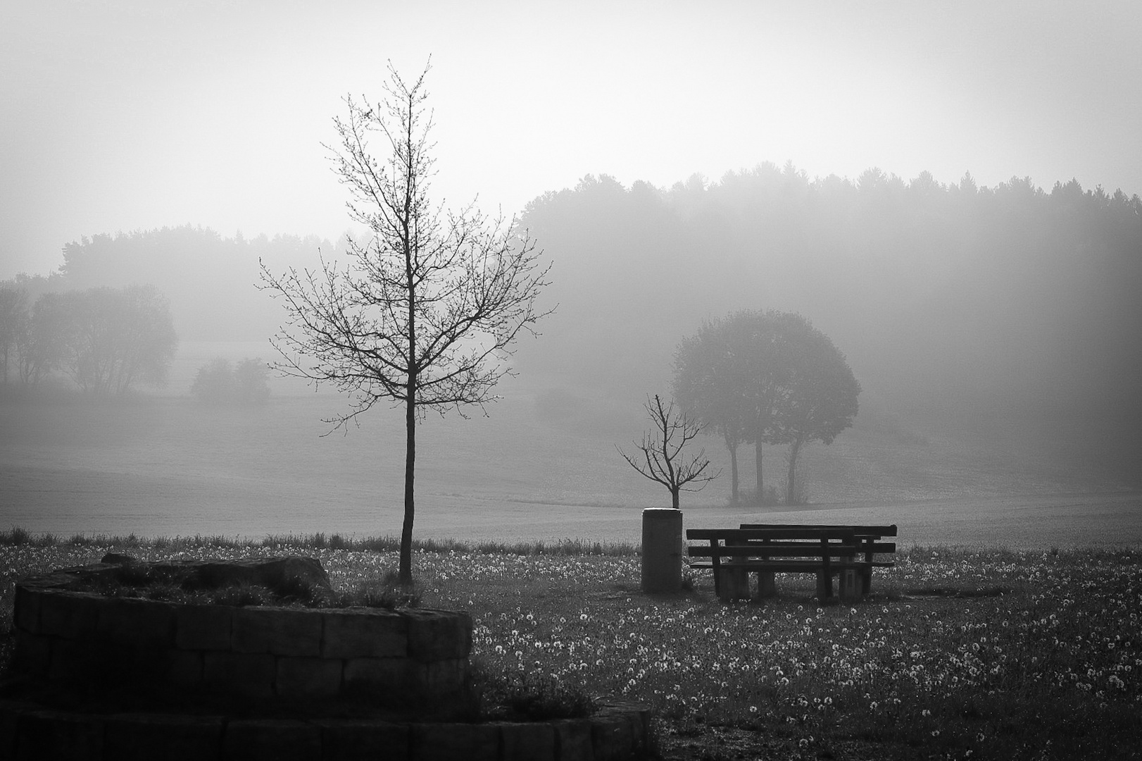 Nebelschwaden regen zum Denken an 