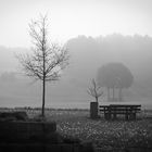 Nebelschwaden regen zum Denken an 