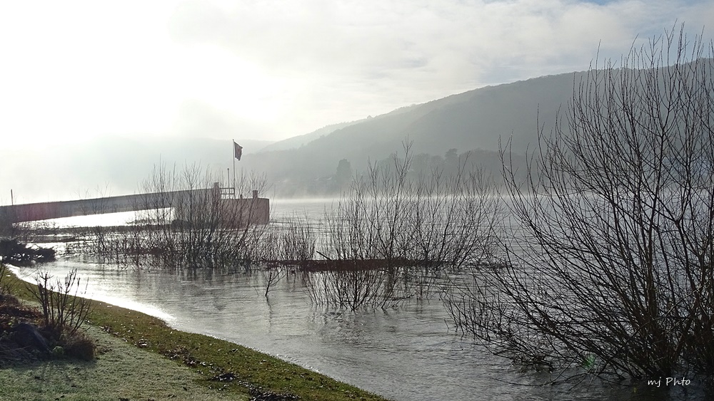 Nebelschwaden über dem Rhein