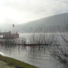 Nebelschwaden über dem Rhein