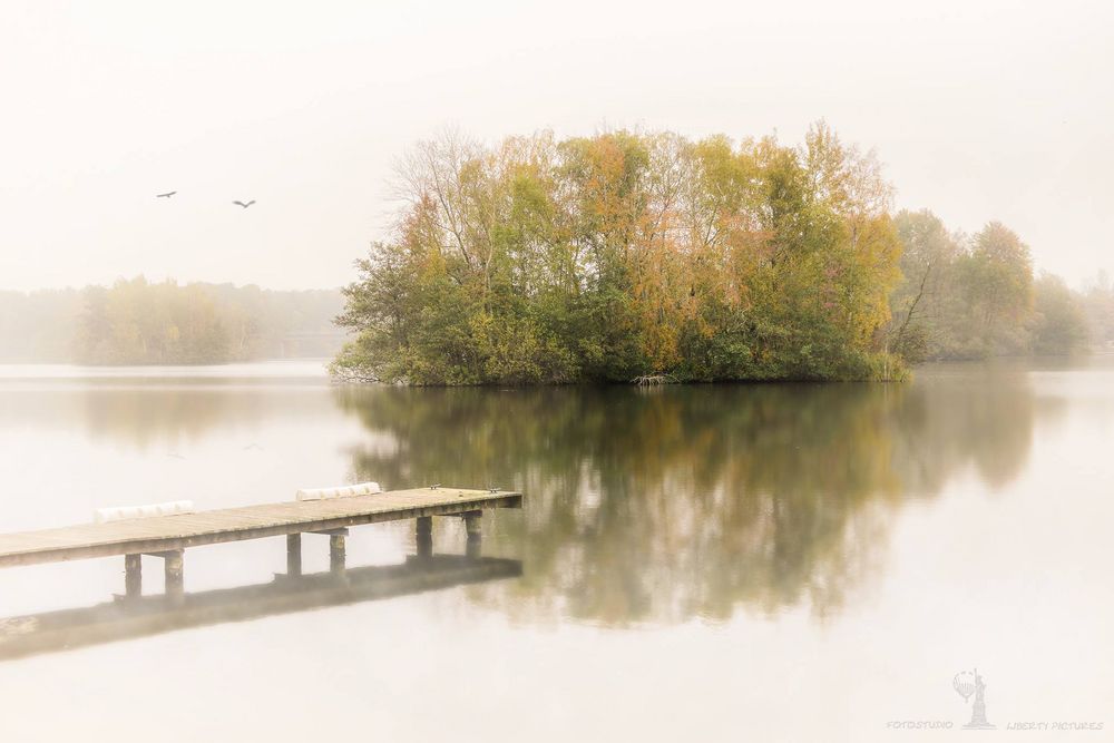 Nebelschwaden über dem See