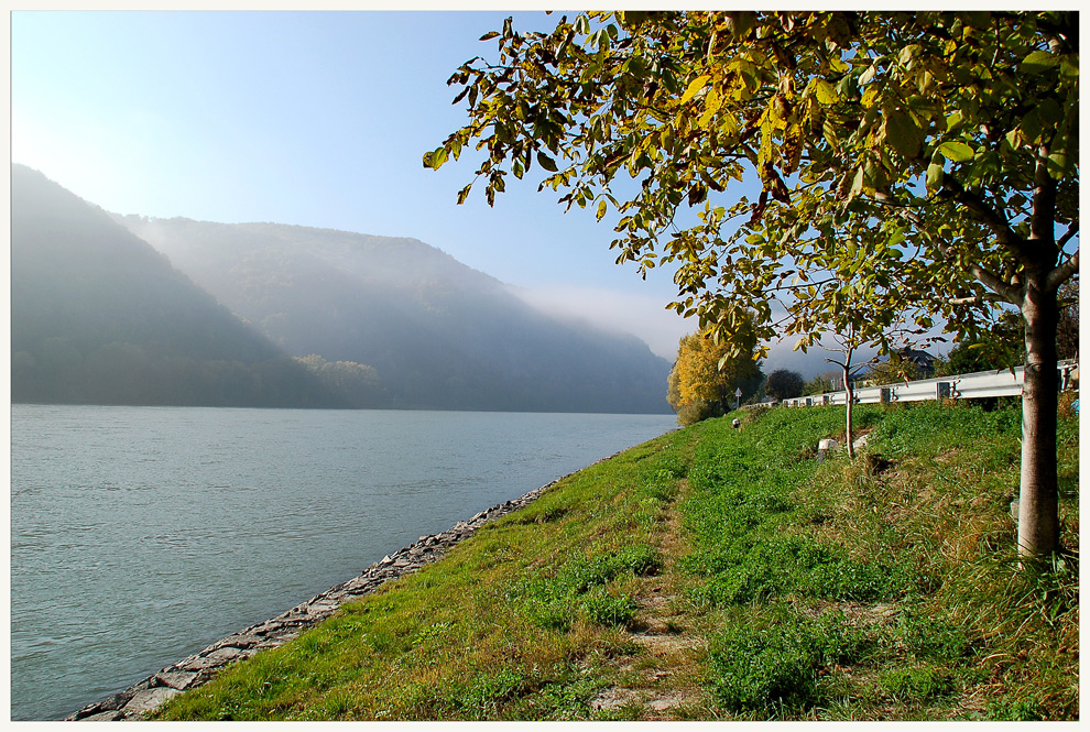 Nebelschwaden über der Donau