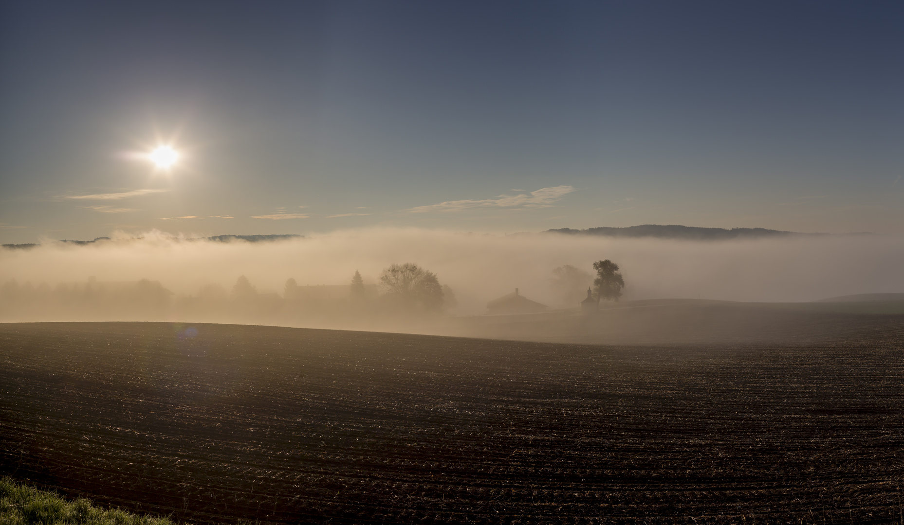 Nebelschwaden unter der aufgehenden Sonne !