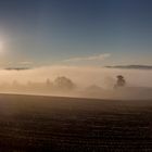 Nebelschwaden unter der aufgehenden Sonne !