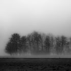 Nebelschwaden wabern über die Wiesen und Felder, es ist wieder soweit