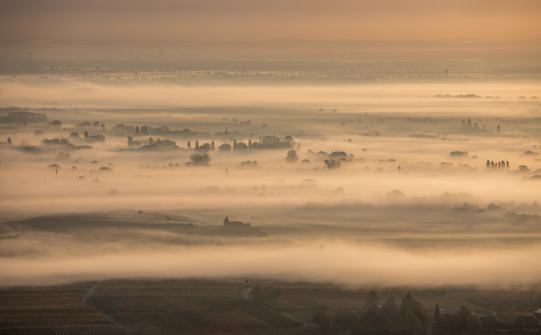 Nebelschwaden ziehen durch das Land