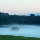 Nebelschwaden ziehen ins Land